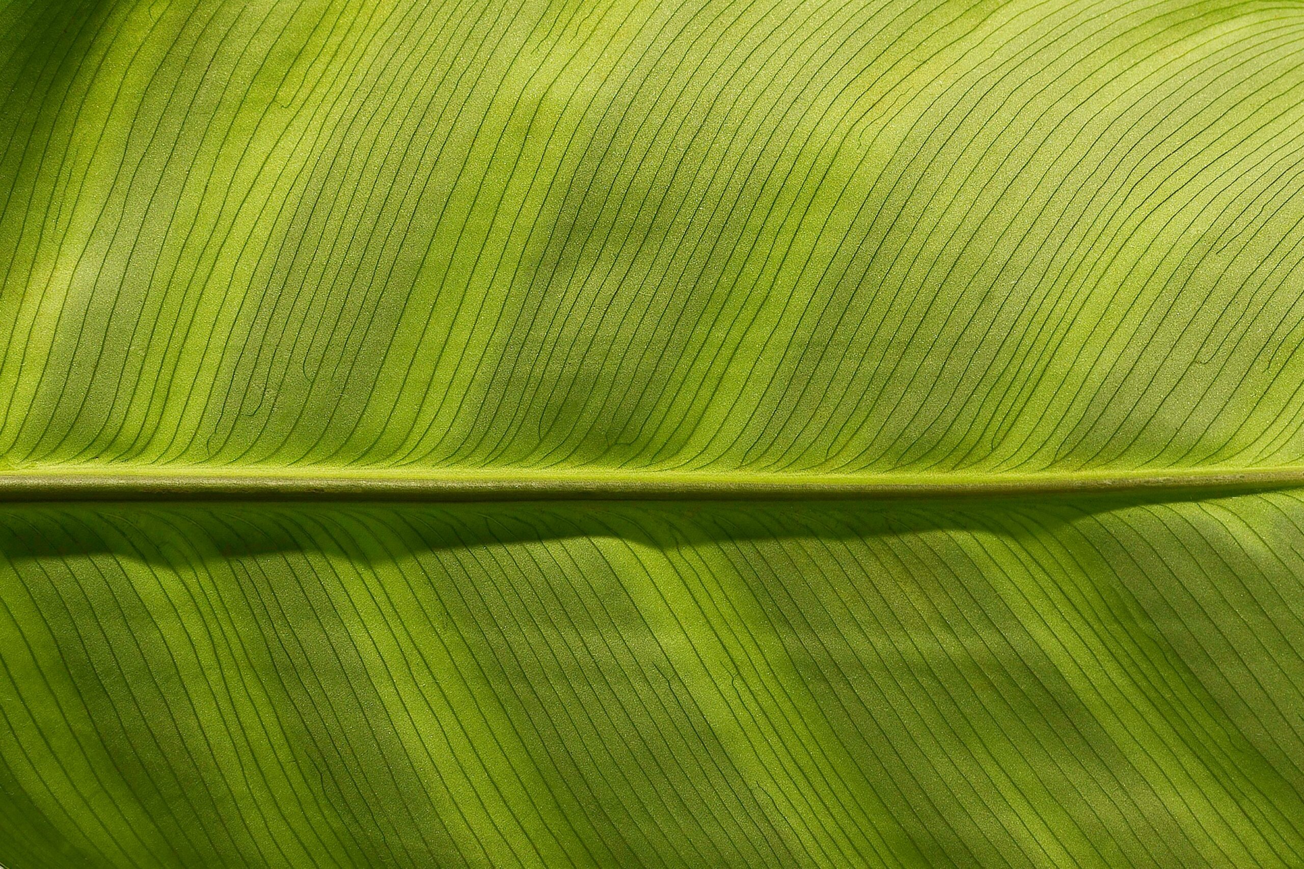 Hello World Featured Image